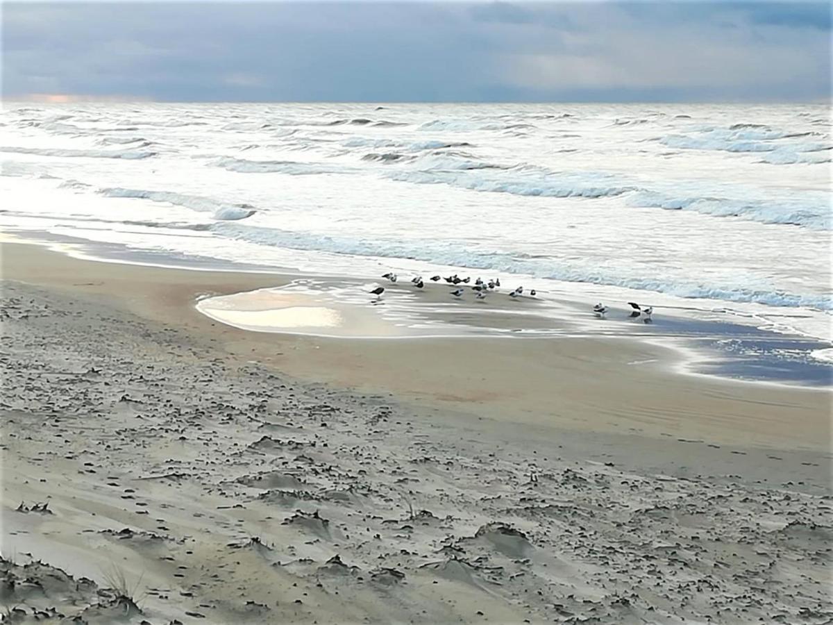 Geltoni apartamentai Palanga Bagian luar foto