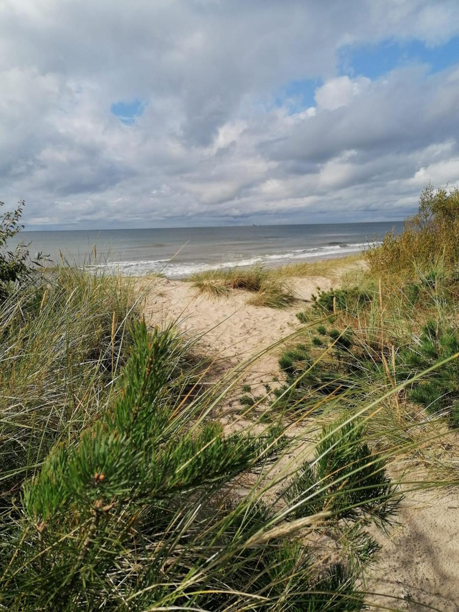 Geltoni apartamentai Palanga Bagian luar foto