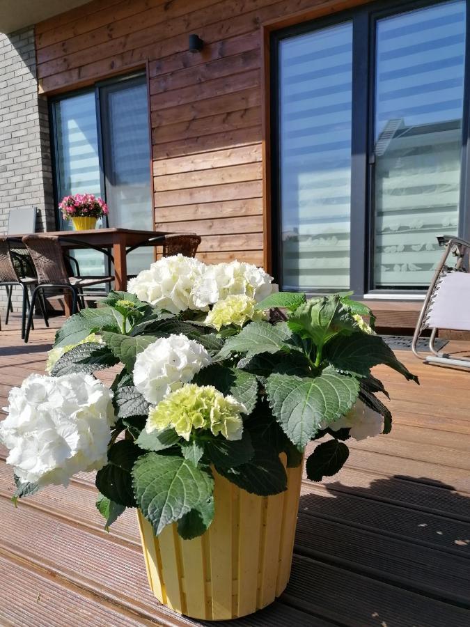 Geltoni apartamentai Palanga Bagian luar foto
