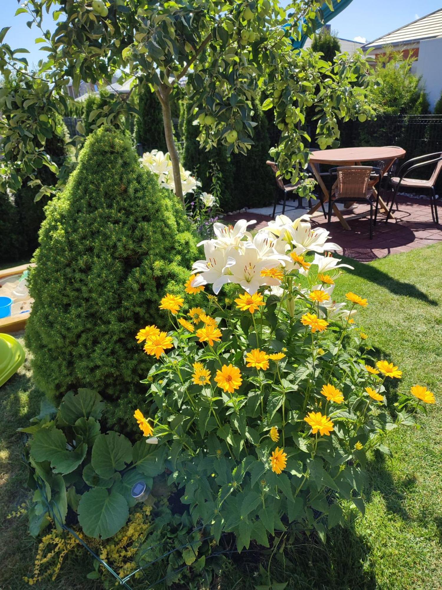 Geltoni apartamentai Palanga Bagian luar foto