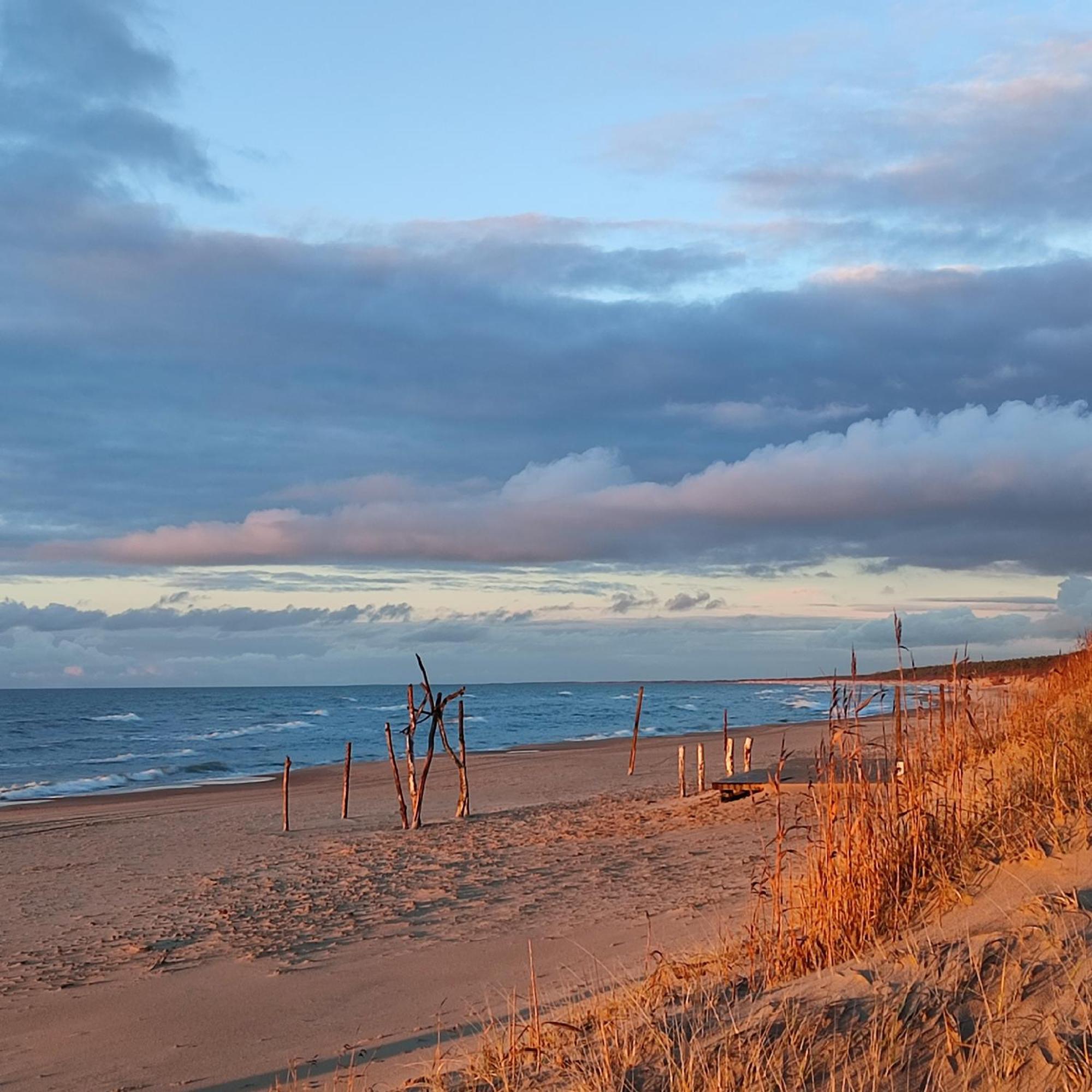 Geltoni apartamentai Palanga Bagian luar foto