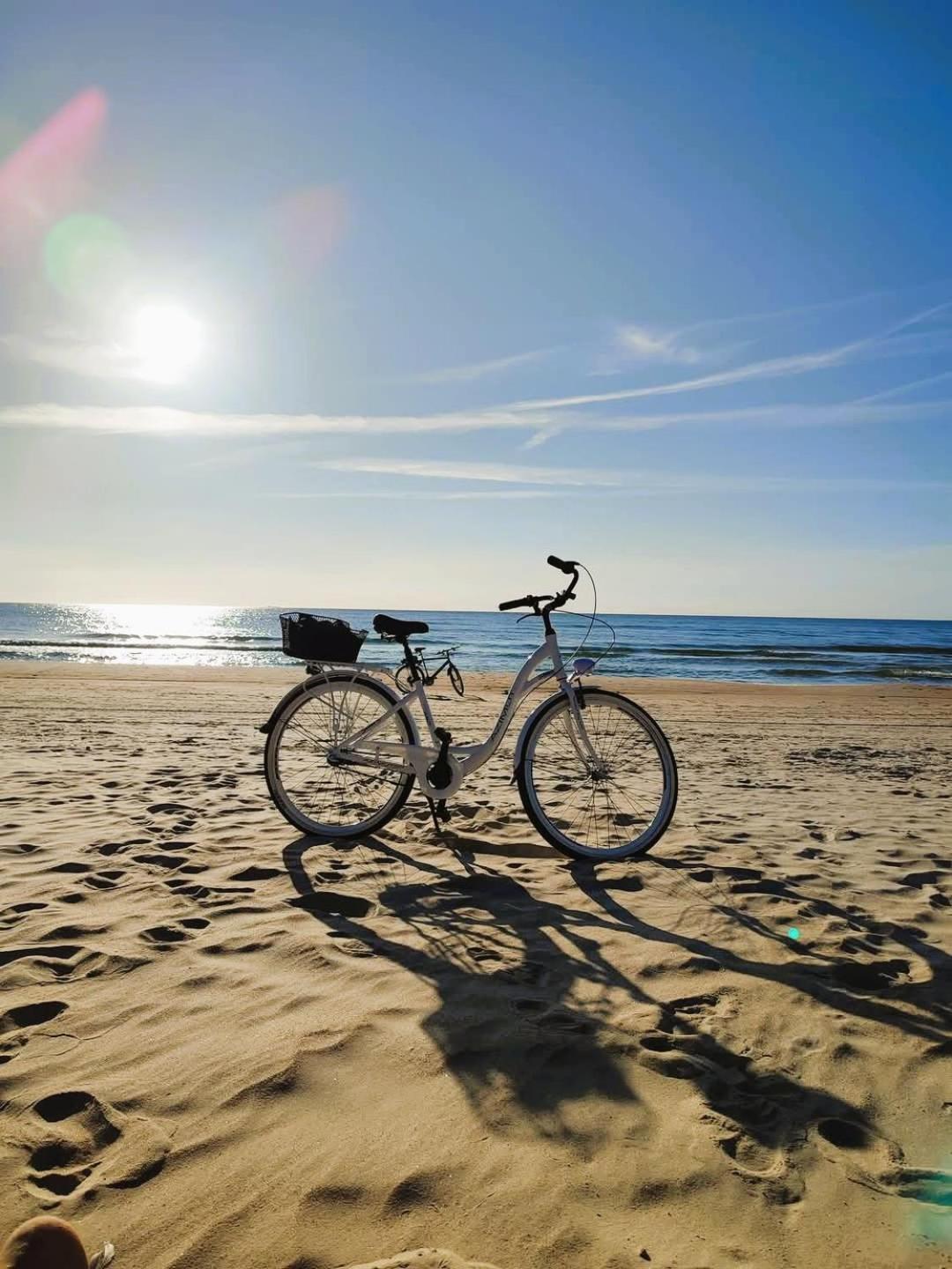 Geltoni apartamentai Palanga Bagian luar foto