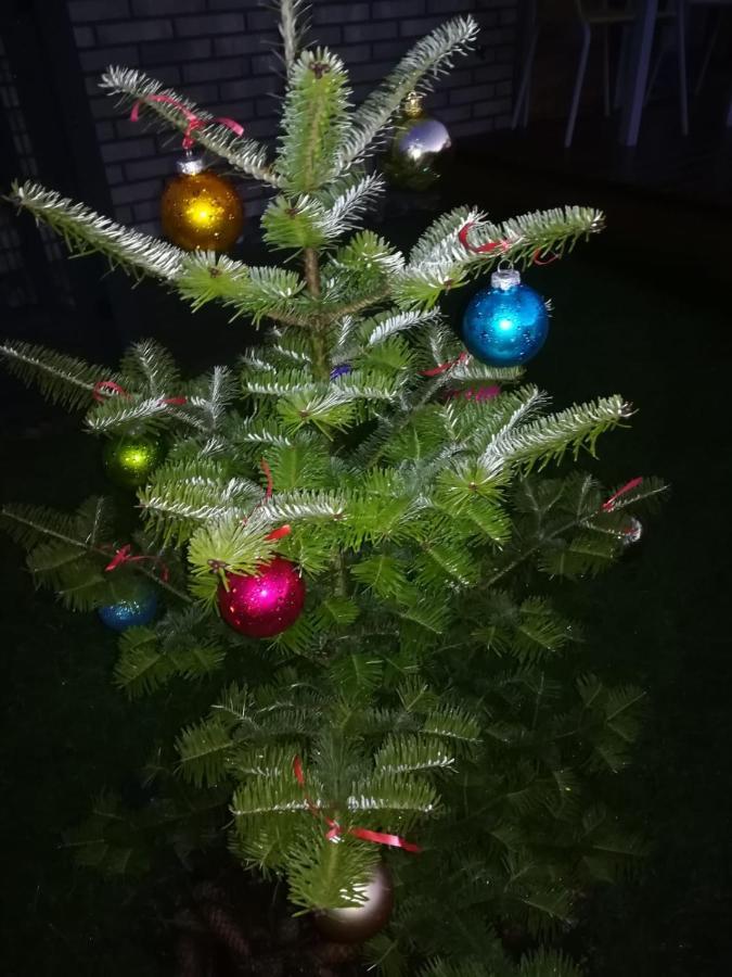 Geltoni apartamentai Palanga Bagian luar foto